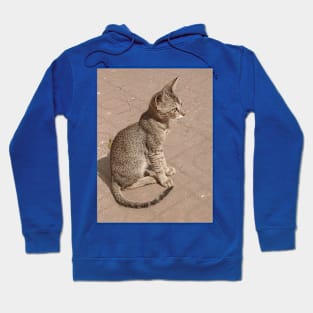 Cat Hoodie